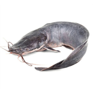 Šamas 2Kg
